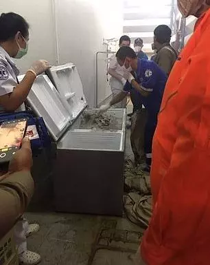 泰女富豪失蹤多日 遭「水泥封屍」自家冰櫃