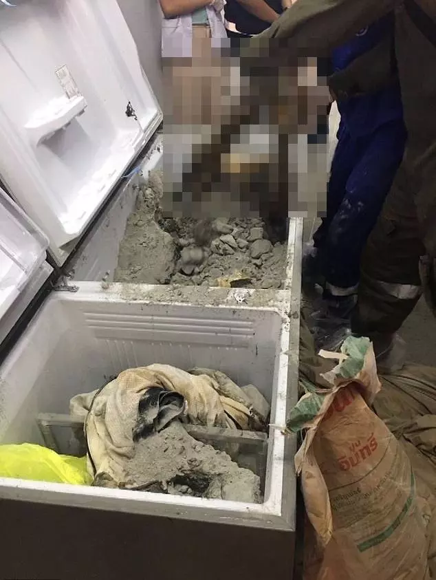 泰女富豪失蹤多日 遭「水泥封屍」自家冰櫃