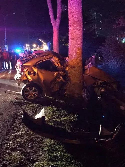 2青年共車返家, 猛撞路旁大樹,雙雙被夾斃車內!
