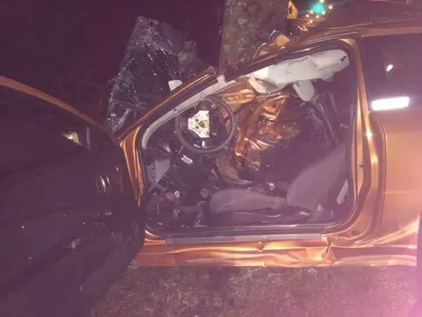 2青年共車返家, 猛撞路旁大樹,雙雙被夾斃車內!