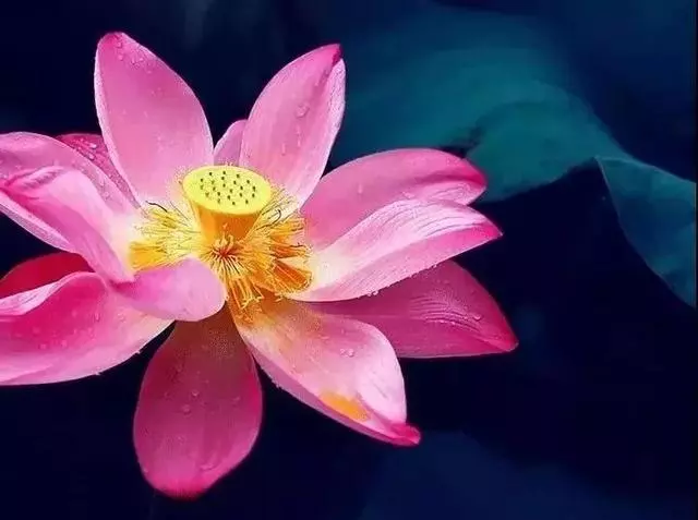 很扎心的十句話,你中招了多少?(精闢)