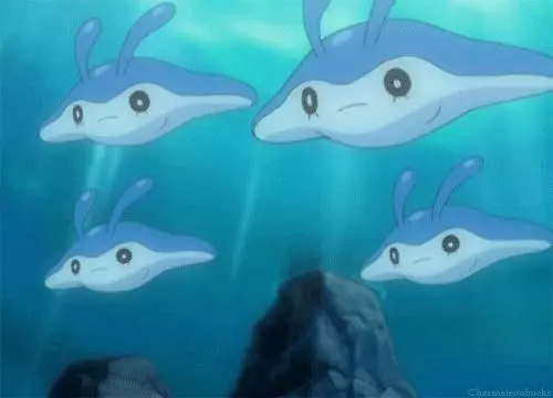 (10月30日更新)寶可夢Go孵蛋列表 Pokemon Go Current Eggs Hatches