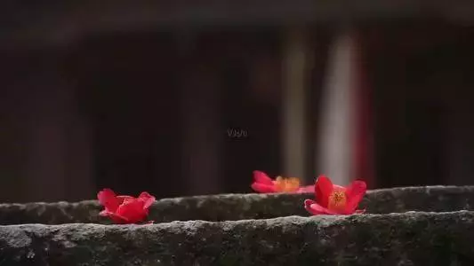 善良的人,老天會幫你,福氣會追隨!