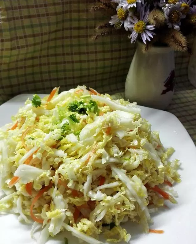 營養又解饞19款大白菜做法,新手一學就會,比飯館做得更美味