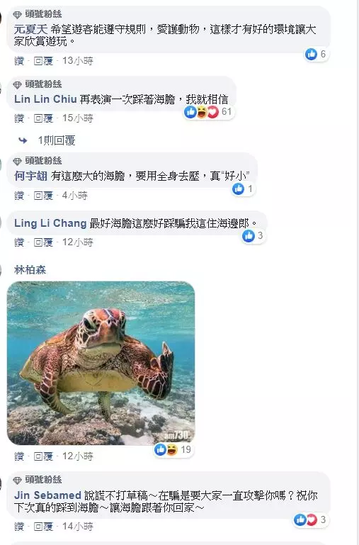 小琉球海龜疑似被遊客壓著玩,當事人喊冤是踩到海膽抓著石頭,網友「有沒有做你們心裡有數」