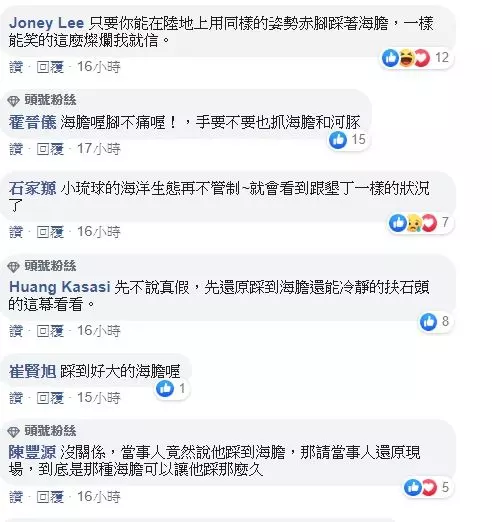 小琉球海龜疑似被遊客壓著玩,當事人喊冤是踩到海膽抓著石頭,網友「有沒有做你們心裡有數」