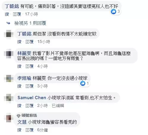 小琉球海龜疑似被遊客壓著玩,當事人喊冤是踩到海膽抓著石頭,網友「有沒有做你們心裡有數」