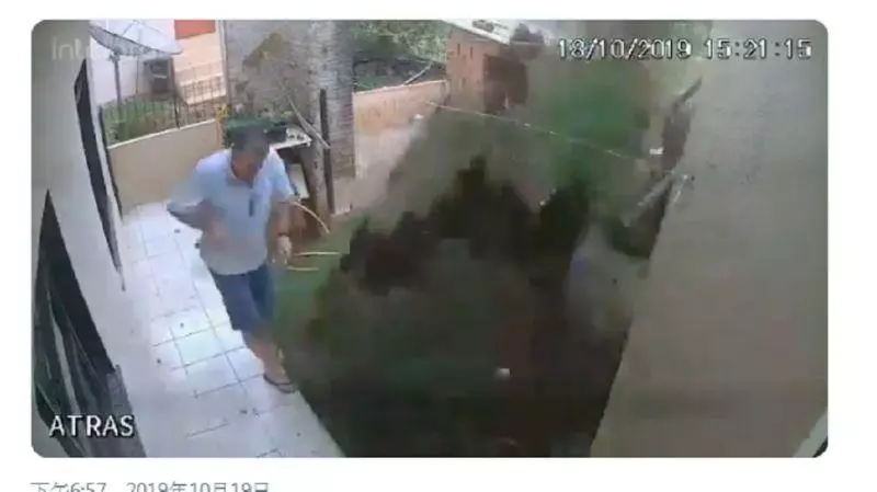 妻怕蟑螂!天兵男連送4支「番仔火」險喪命