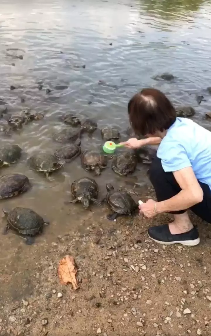 15張「鐵石心腸的人也會秒萌化」的超可愛動物照片