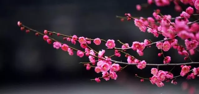 十年後最值錢的東西,不是房子和存款!