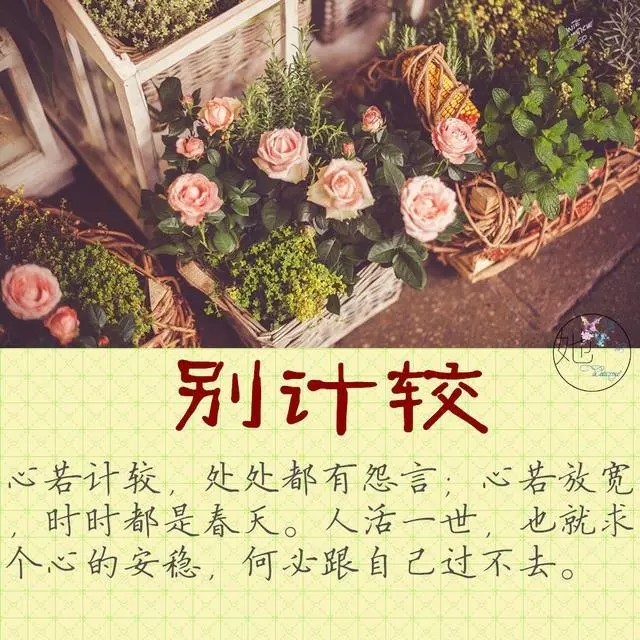 心煩、心累、心苦的時候,看看這11個字!