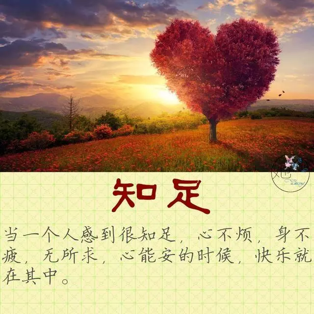 心煩、心累、心苦的時候,看看這11個字!