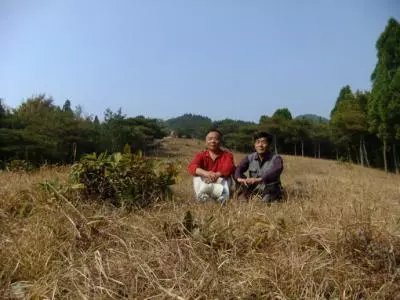 大伯急叫去他家,到了說好聽還給我們錢,我全家卻如此心寒