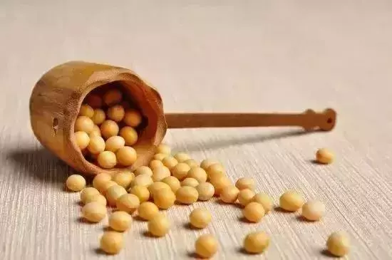 排名前十的高蛋白食物,你吃對了嗎?