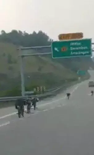 【正當95%人都反對蚊型腳車時】伊斯蘭組織第一時間出面反擊!