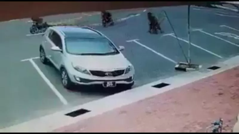 【正當95%人都反對蚊型腳車時】伊斯蘭組織第一時間出面反擊!