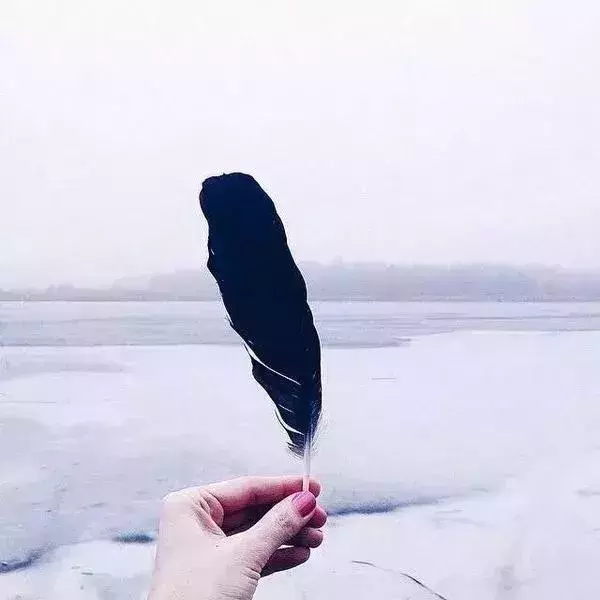 人生,沒有下一次!(經典)