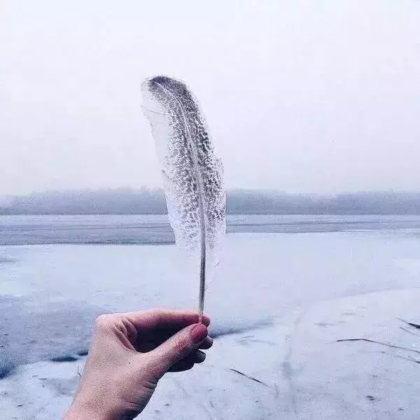 人生,沒有下一次!(經典)
