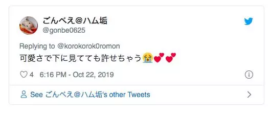 鼠皇無誤!倉鼠「瞧不起人類照」傳遍網路 萬人激動求:想被踩!