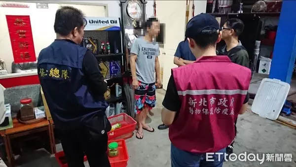 瑞芳車廠驚藏食蛇龜、柴棺龜45隻!2男自抓養龜上網賣 下場悲劇了 | ETtoday社會 | ETtoday新聞雲
