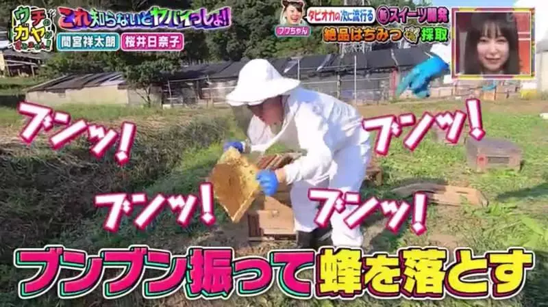 《日本綜藝節目大讚台灣糖葫蘆》蜂蜜配上番茄的新奇甜點 藝人來賓直呼酸酸甜甜超好吃