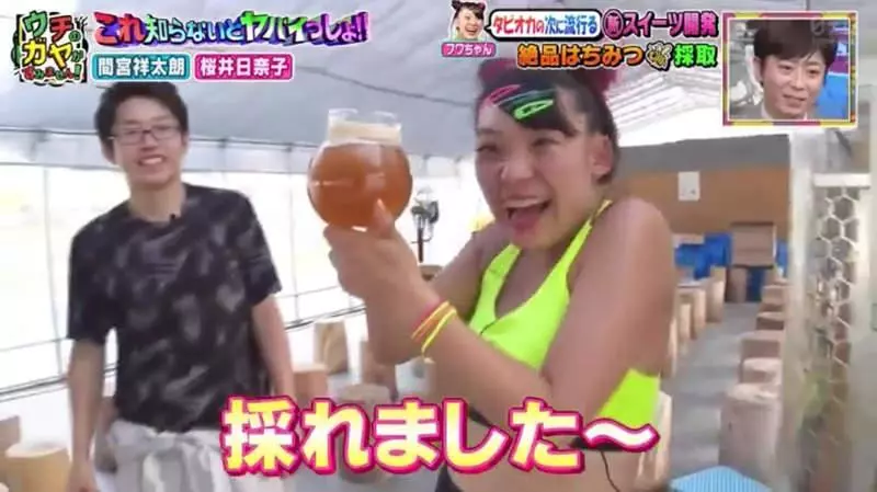 《日本綜藝節目大讚台灣糖葫蘆》蜂蜜配上番茄的新奇甜點 藝人來賓直呼酸酸甜甜超好吃