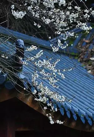老來最難是什麼?看哭億萬老年人!