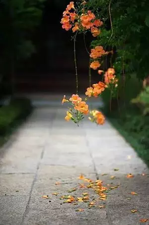 老來最難是什麼?看哭億萬老年人!