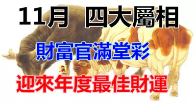 十一月財富官滿堂彩,迎來年度最佳財運的生肖