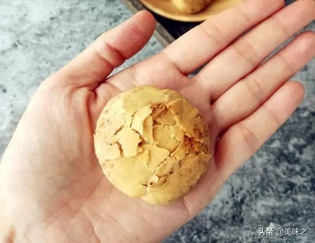18種鮮美火燒的做法,色澤金黃外皮酥脆,咸香鮮美