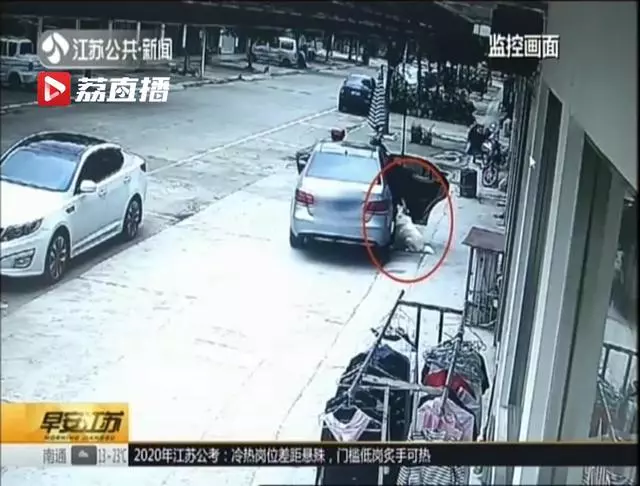 見狗太可愛 揚州一老闆開奔馳把狗偷走 結果:行拘