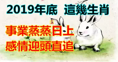 2019年底事業蒸蒸日上,感情也迎頭直追的生肖