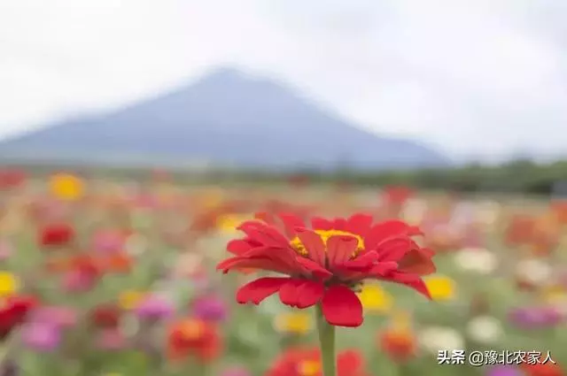 人生最好的狀態,都在這7句話裡!