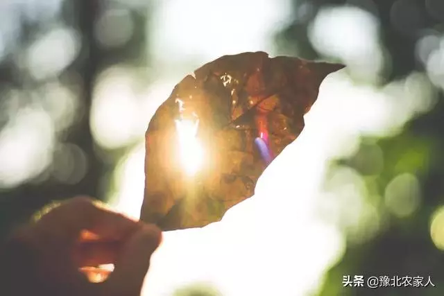 人生最好的狀態,都在這7句話裡!
