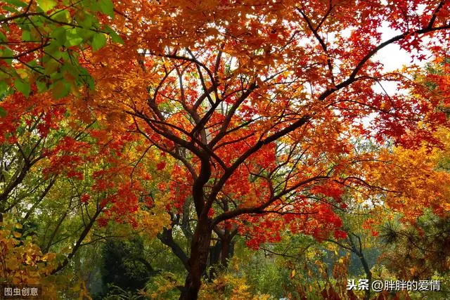人生的冷暖取決於心靈的溫度;使人成熟的是經歷,而不是歲月