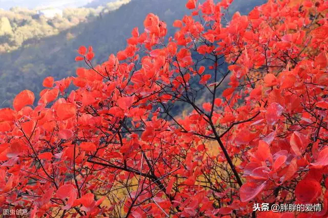 人生的冷暖取決於心靈的溫度;使人成熟的是經歷,而不是歲月