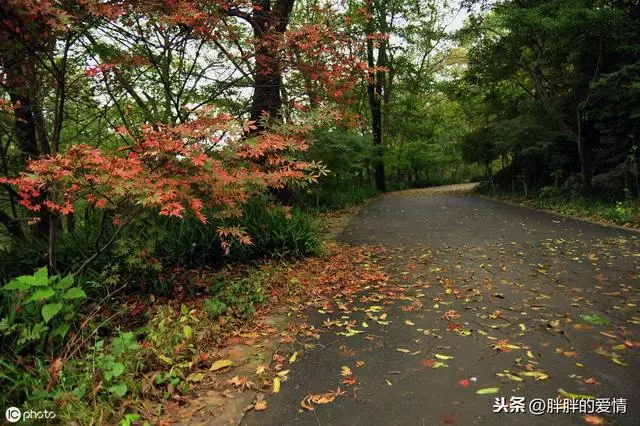 人生的冷暖取決於心靈的溫度;使人成熟的是經歷,而不是歲月