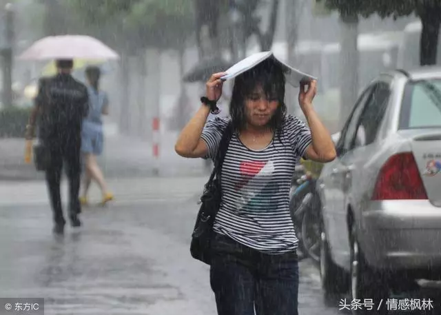 服務員把拾荒老人請進店避雨,老闆娘大聲呵斥,老闆出來連忙下跪