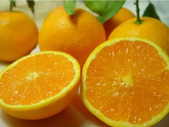 秋燥傷肺,吃這8種養肺水果正合適!