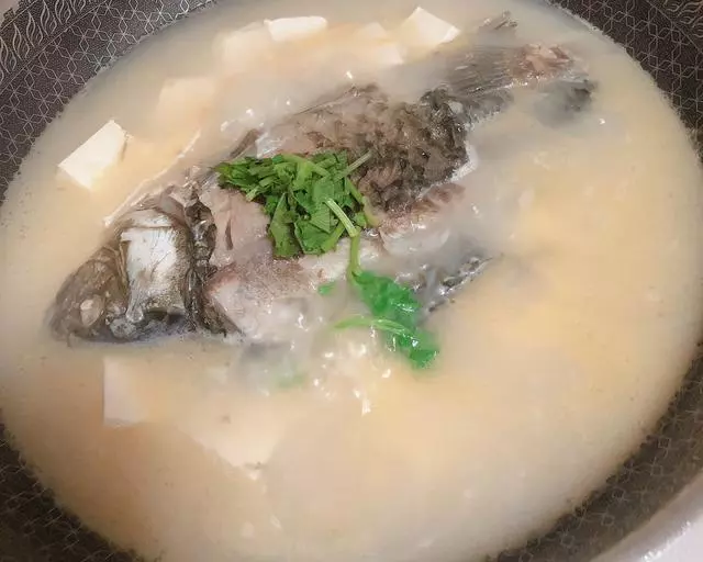 營養又好喝17款湯做法,老少皆宜鮮味十足,一天三頓都離不開