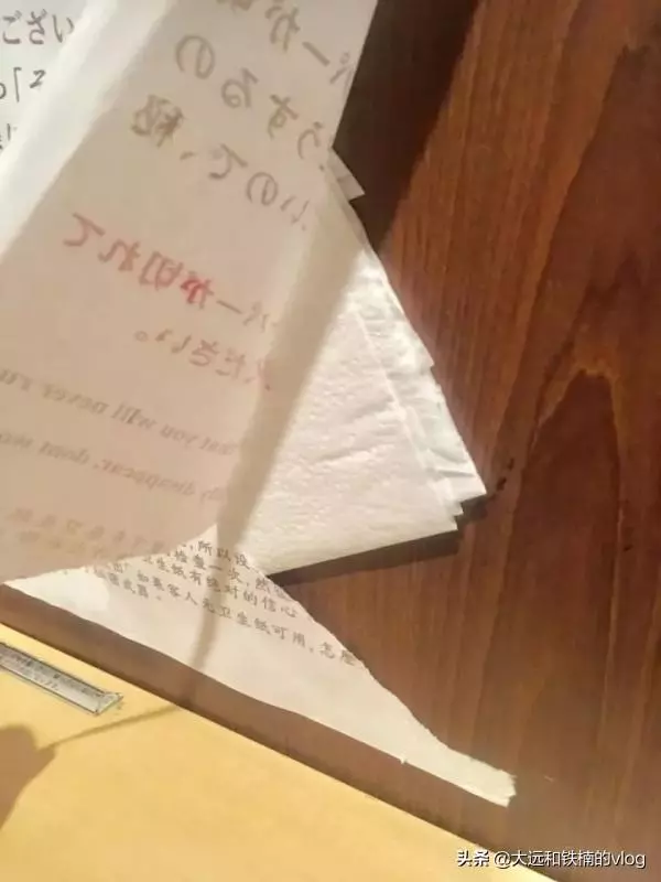 1個衛生間放12卷手紙,日本人的迷惑之舉,網友:原來傳說是真的