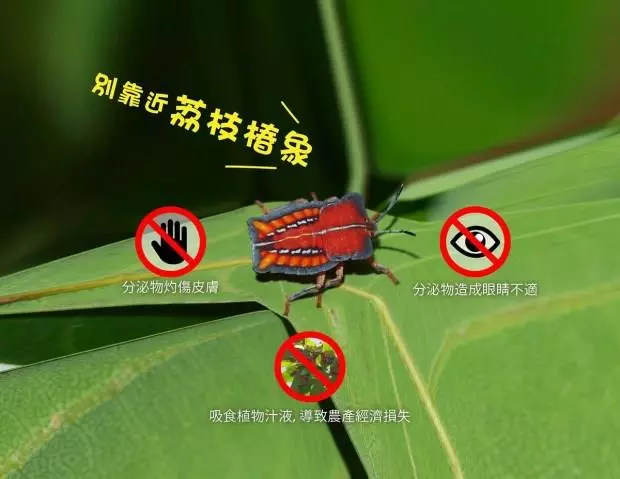 跟爸媽一起去夜店,媽媽穿的太正了~網友極力推薦自己要當他們的保鏢