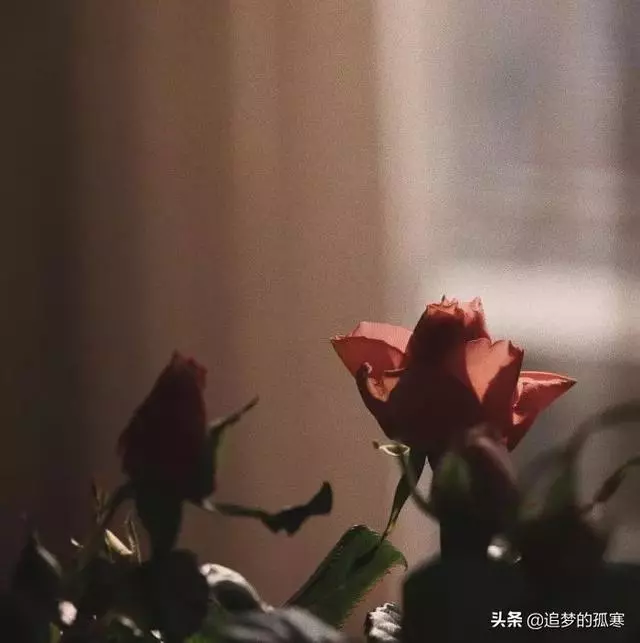深度好文:看透人生繁華,還是平淡最真!