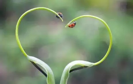 有一天,我去世了(看完淚奔)