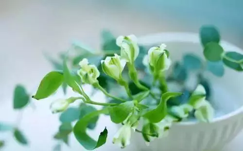 有一天,我去世了(看完淚奔)
