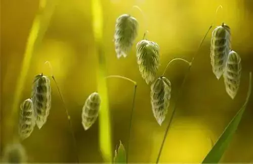 有一天,我去世了(看完淚奔)