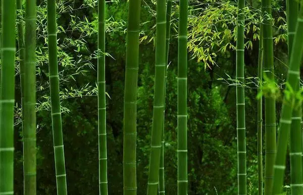 這3句話,爛在肚裡也不能說,關係再好都不行
