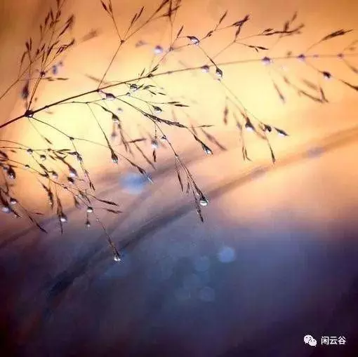 當我老了,還有誰願意陪伴我?(讀完流淚)