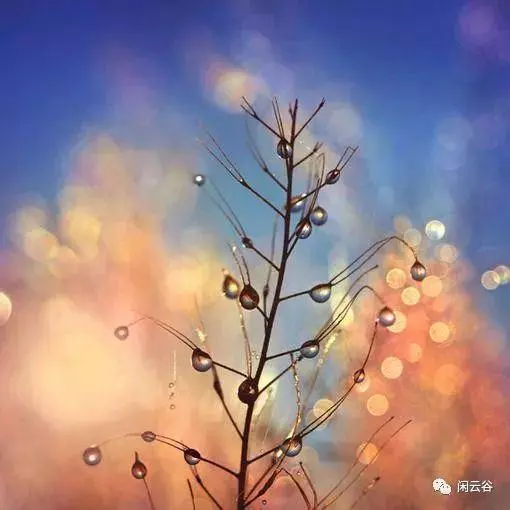 當我老了,還有誰願意陪伴我?(讀完流淚)