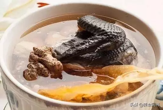 花膠的美食十幾款美食。頂級廚師團隊專研而成的美食。